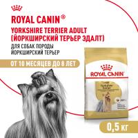 Royal Canin Adult Yorkshire Terrier Сухой корм для взрослых собак породы Йоркширский терьер, 500 г Royal Canin Adult Yorkshire Terrier Сухой корм для взрослых собак породы Йоркширский терьер, 500 г